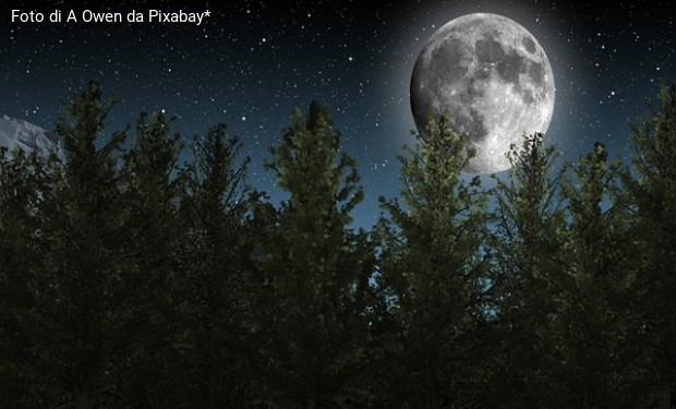 Spegnere le luci, piantare alberi: illuminarsi di meno per respirare di più. E salvare il pianeta